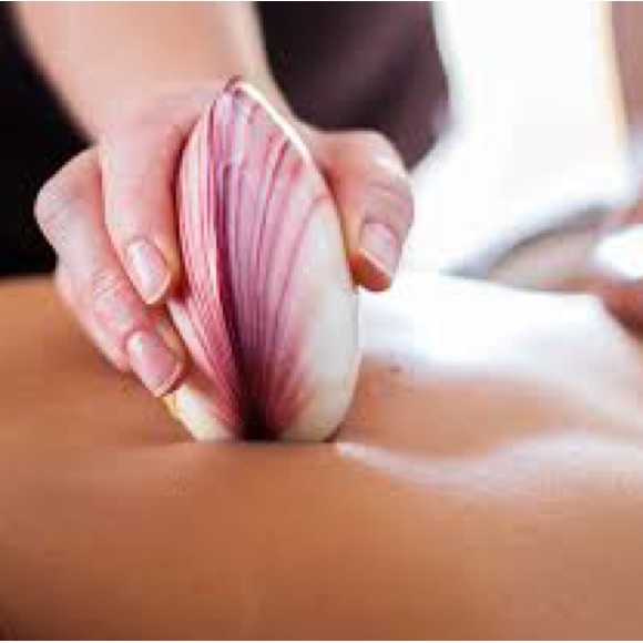 Porcelain Lava Shells For hot shell massage NOUVEAU COQUILLAGE POUR MASSAGE - Picture 7 of 8